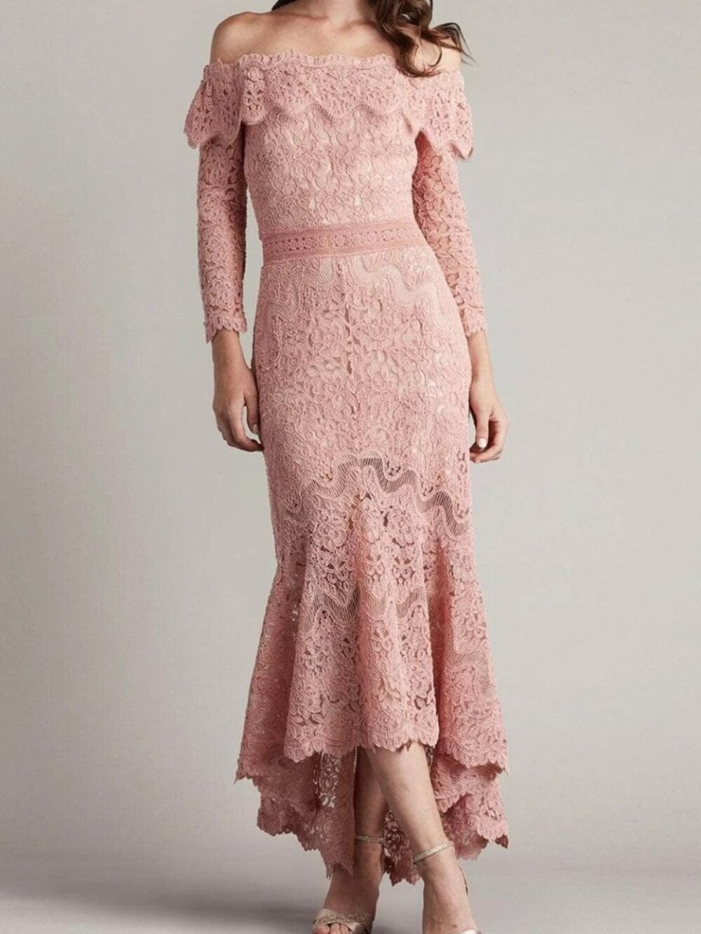 Tadashi Shoji Antique Pink Lace Embroidered Off The Shoulder Gown